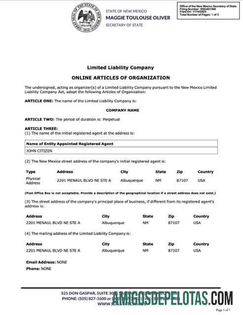 Artigos on-line da organização para impressão nos EUA, Novo México, modelo Word e PDF